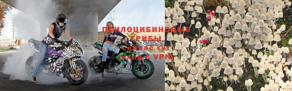 молекула духа Касимов