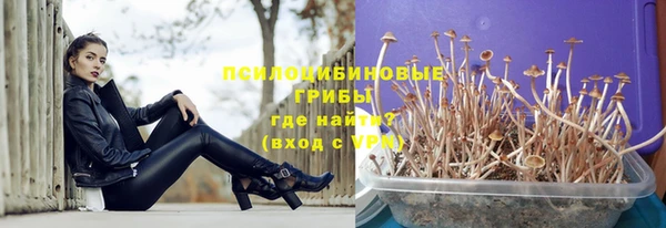 молекула духа Касимов