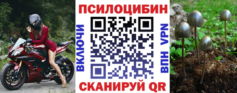 Галлюциногенные грибы GOLDEN TEACHER  Купить где  Бузулук 